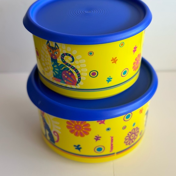 Tupperware alebrijes - Picture 2 of 2